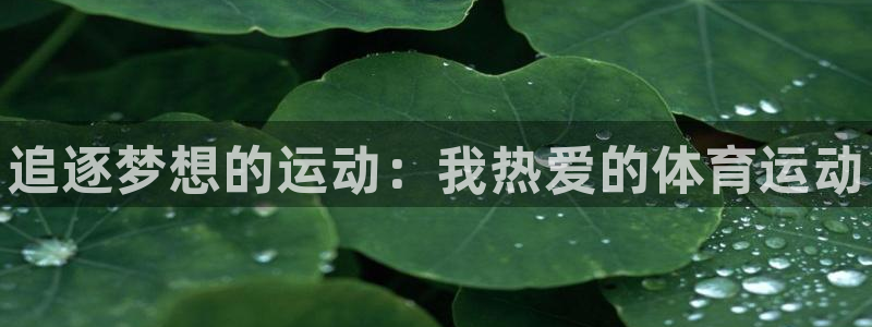 米兰体育官方正版app开户:追逐梦想的运动:我热爱的体育运动