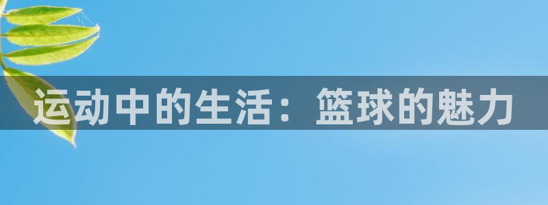米兰体育官方正版app开户:运动中的生活:篮球的魅力